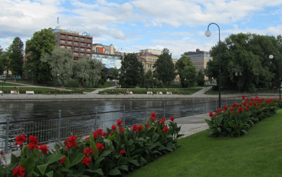 Kukkia Tampereen Koskipuistossa